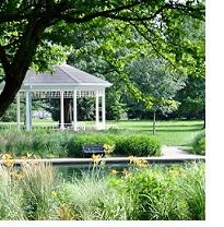 Trees and a pond, tall grass and a white gazebo