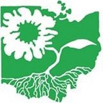 Green symbol of the shape of the state of Ohio with a white flower design inside