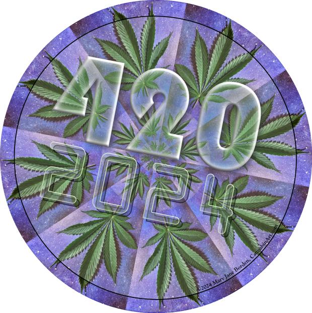 Marijuana leaves and 420 2024