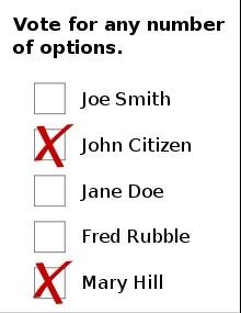 Ballot with x's for some candidates