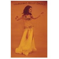 Orange photo of woman with long black hair belly dancing and words Habeeba's Belly Dance