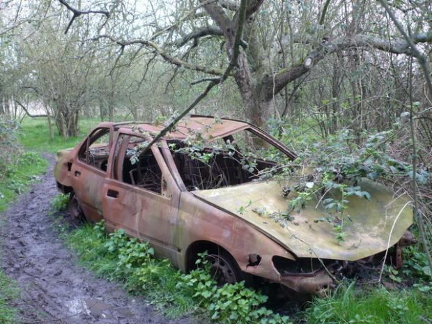 Wrecked car under a tree