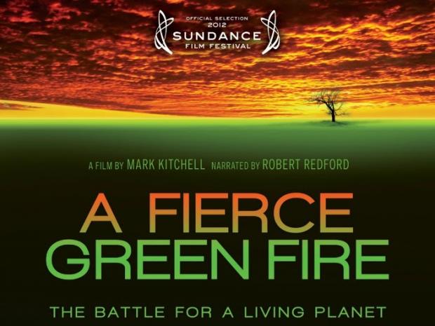 The words A Fierce Green Fire over a green background that turns into fire in the sky