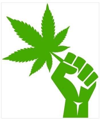 Fist holding a marijuana leaf