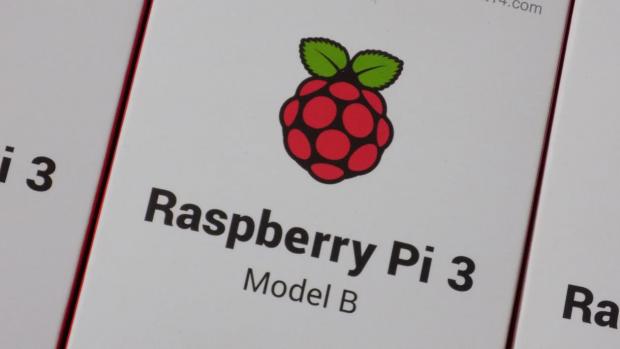 Raspberry Pi logo - a little raspberry