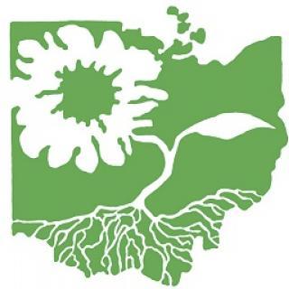 Green silhouette of the state of Ohio with a white flower in the middle