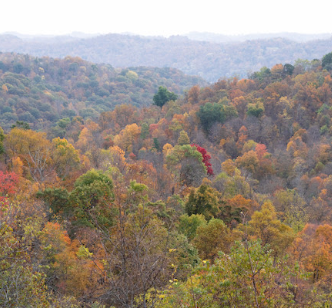 Hills and trees with leaves turning fall colors