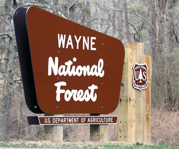 Brown sign on pole in woods saying Wayne National Forest