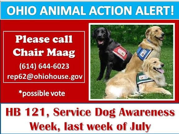 Action alert about dog bill