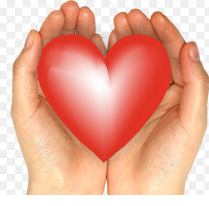 Two white hands holding a big red heart