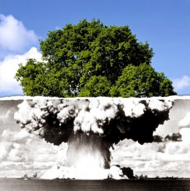 Photo showing an atomic blast at the bottom morping into a tree at the top