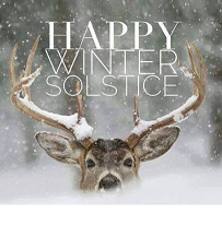 Head of a deer peering over snow against trees and the words Happy Winter Solstice