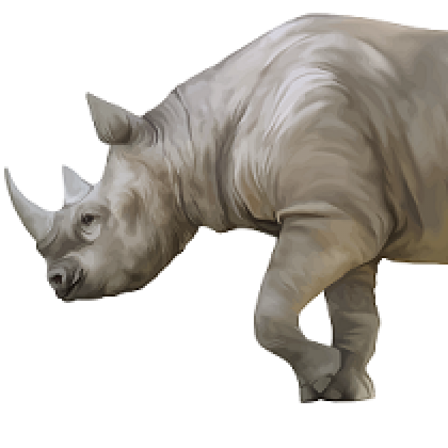 Front half of a side view of a rhino with a big horn