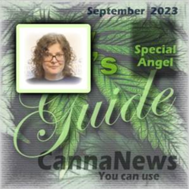 Logo with photo of Angelica
