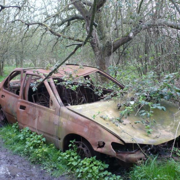 Wrecked car under a tree