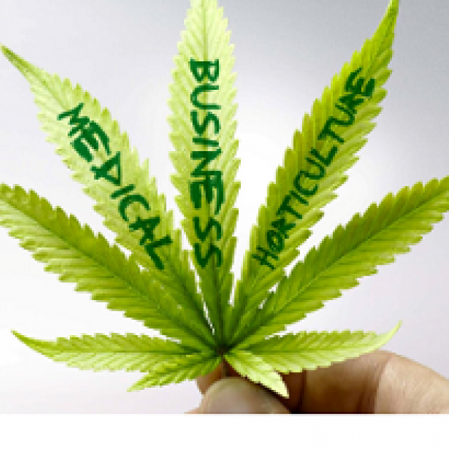 Marijuana leaf with words on the leaves saying Medical Business and Horticulture