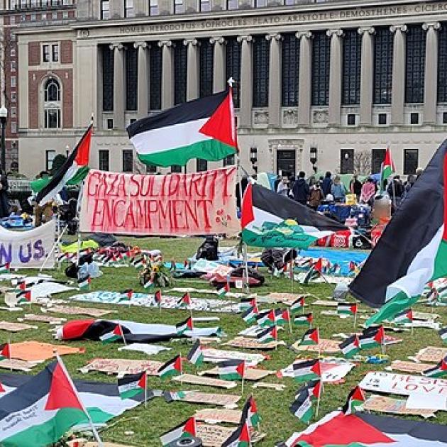 Palestinian flag and other signs on the lawn