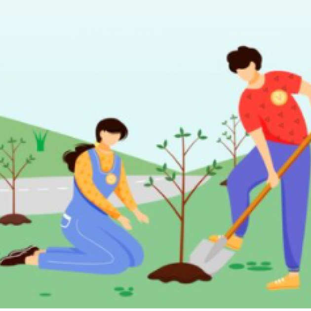 People planting trees
