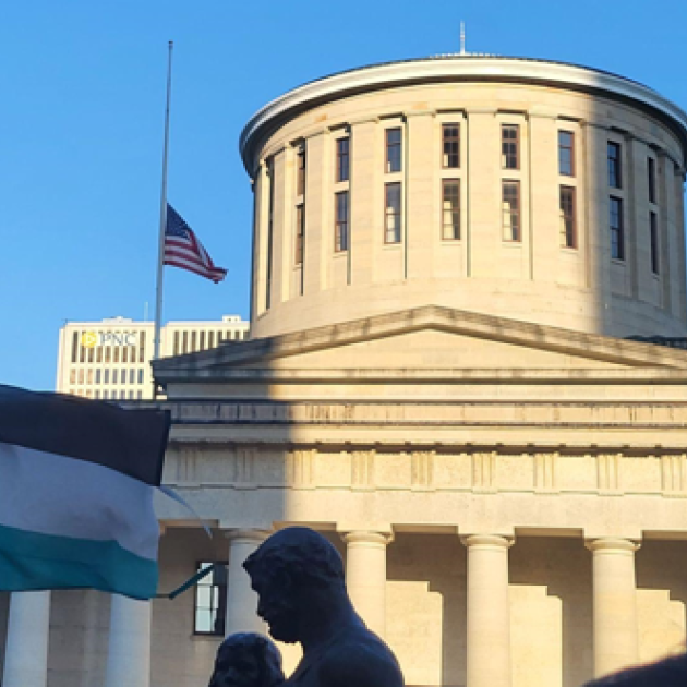 Statehouse with Palestinian flag