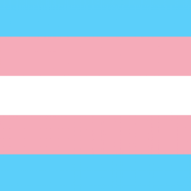Pink, white and light blue striped flag, the trans flag