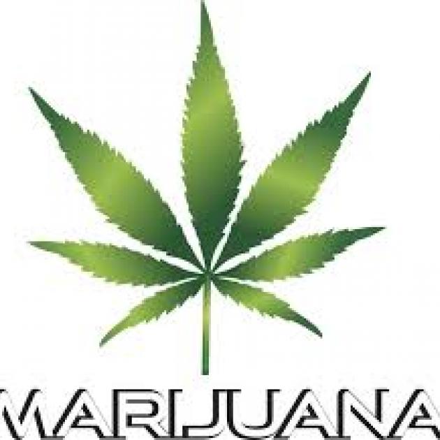 A big green leaf with 7 leaves, a pot leaf it is, with words MARIJUANA in capitals below