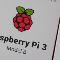 Raspberry Pi logo - a little raspberry