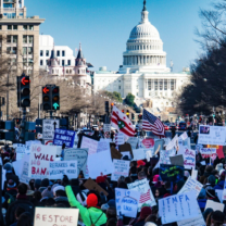 Protestors at the Capitol