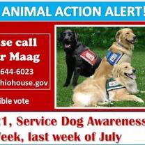 Action alert about dog bill