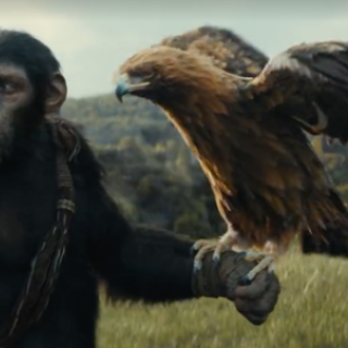 Ape with a hawk on his hand