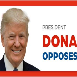 Sign saying Donald Trump opposes Issue 1