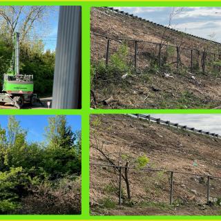 Photos of trees land and then without trees