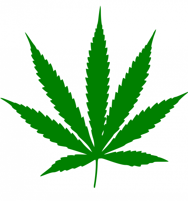 Pot leaf