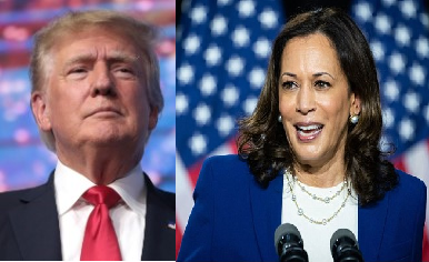 Trump and Harris