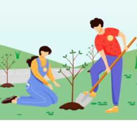 People planting trees