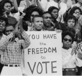 You have the freedom to vote sign held at a rally