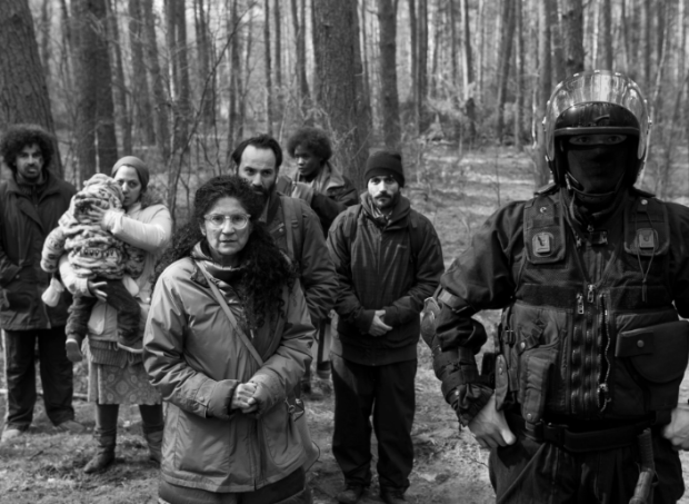 People walking in the woods