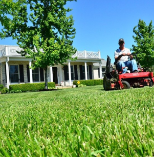 Guy riding a lawn mower