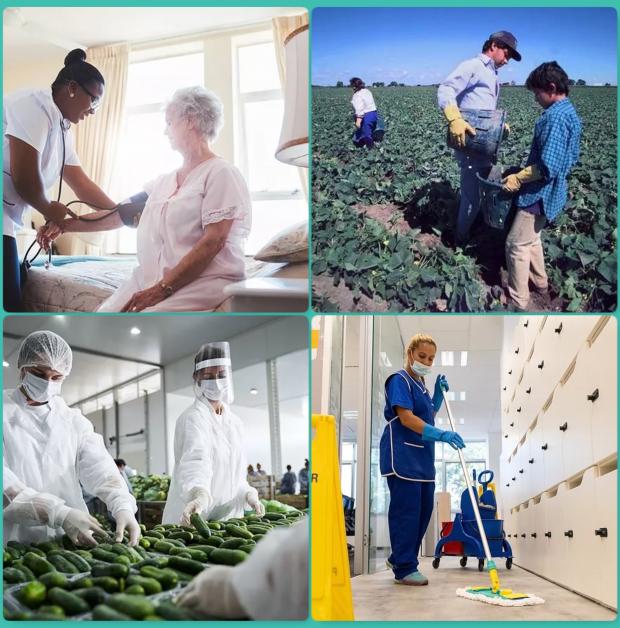 Collage of essential workers