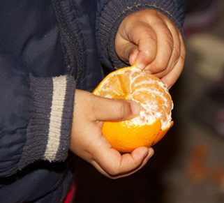Hands peeling an orange