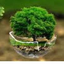 Tree with lots of green leaves in a round glass dish