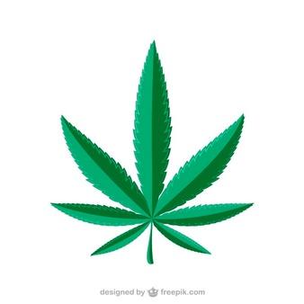 Green marijuana leaf