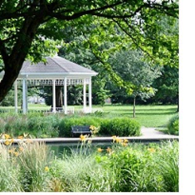 Trees and a pond, tall grass and a white gazebo