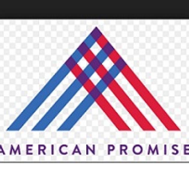 Blue and red lines put together in an upside down V and the words American Promise