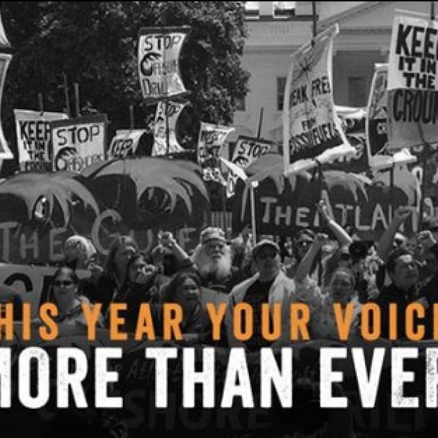 Black and white photo of crowd of people at rally and words Your Voice More than Ever