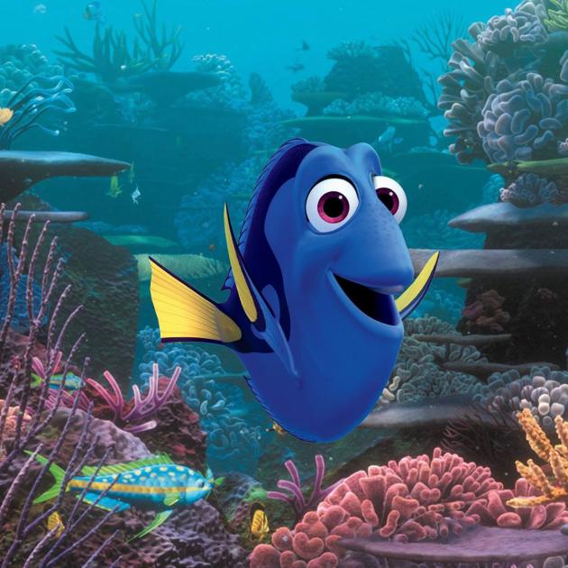 Photo of blue fish from movie