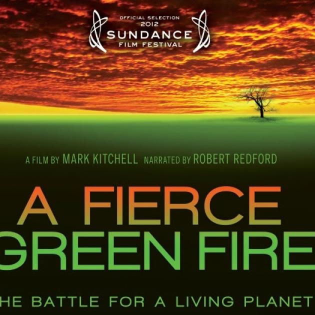 The words A Fierce Green Fire over a green background that turns into fire in the sky