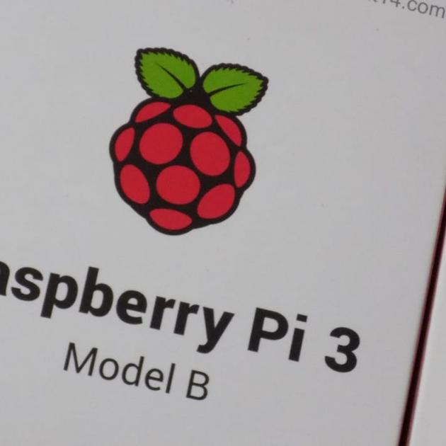 Raspberry Pi logo - a little raspberry