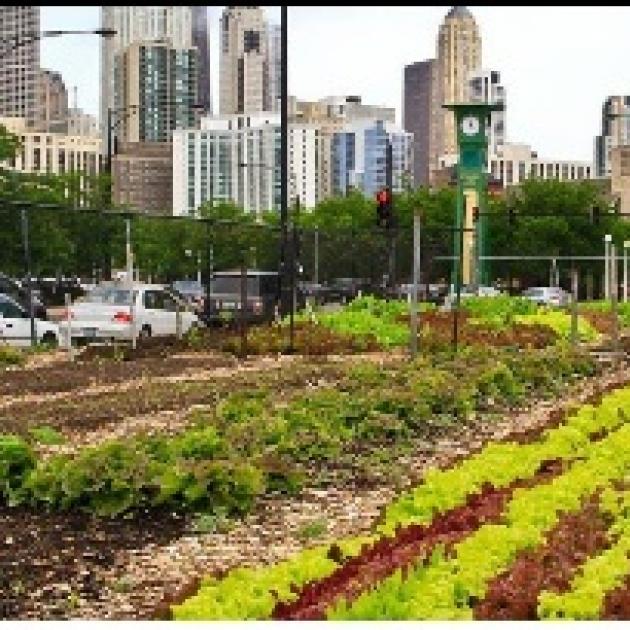 City skyline in the background and a garden in the foreground