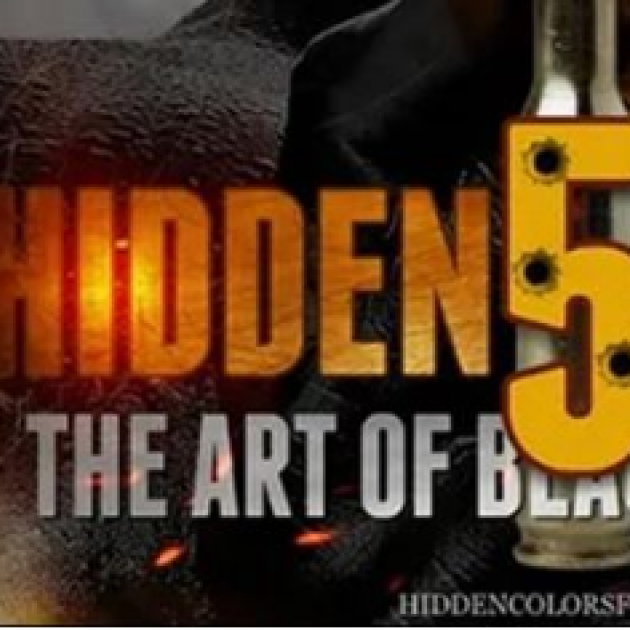 Large orange words against black: Hidden 5 The Art of...