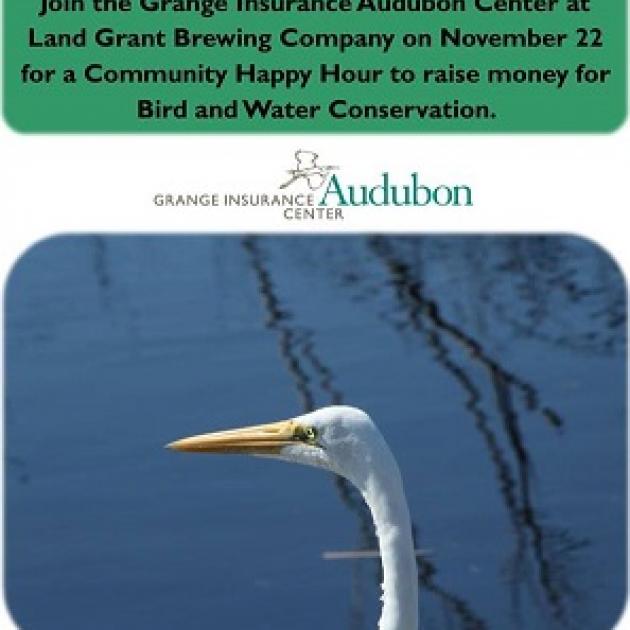 A photo of a white bird with a long skinny neck and long yellow beak against a blue sky and words at top